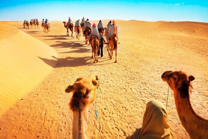 Doha Gentle Sands Calming Desert Experience Without Dune Bashing