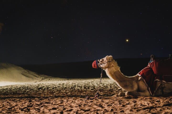 Doha : Night Desert Safari | Transit Safari | Camel ride | Dune Bashing